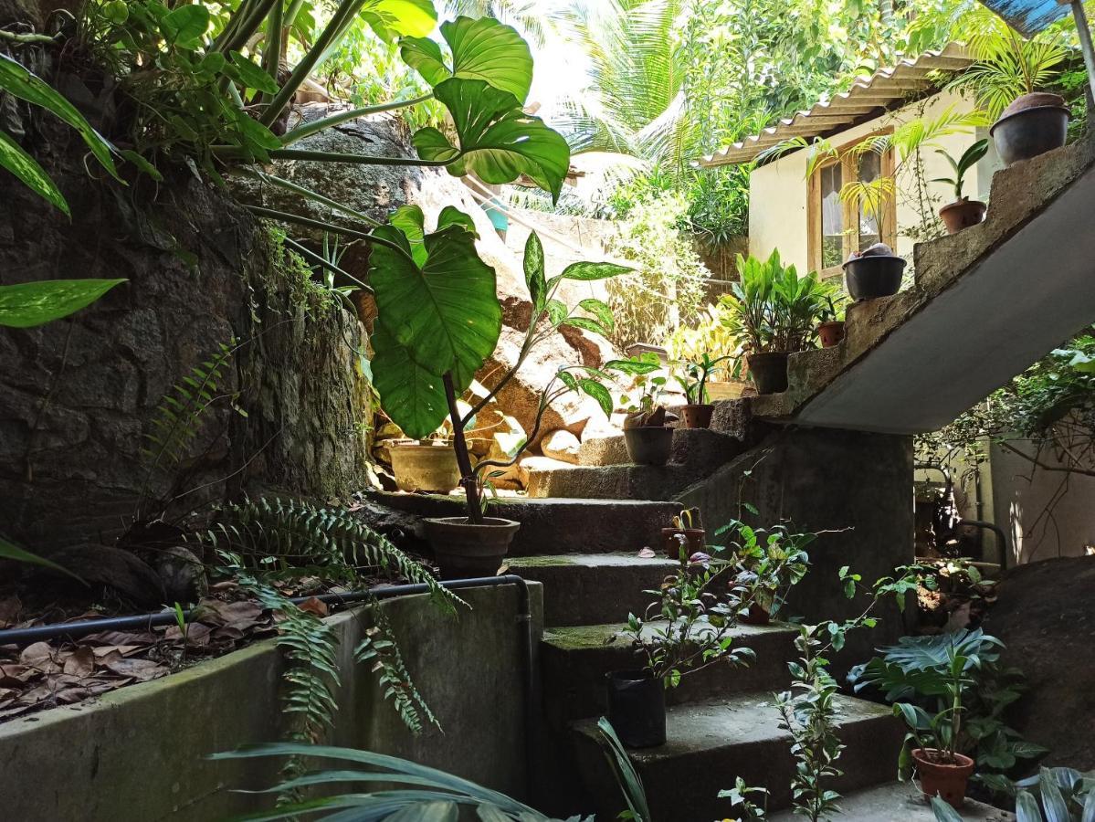 Butterfly Jewel Bed & Breakfast อูนาวาตูนา ภายนอก รูปภาพ