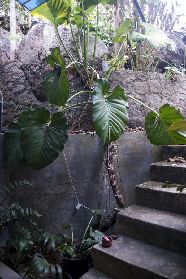 Butterfly Jewel Bed & Breakfast อูนาวาตูนา ภายนอก รูปภาพ