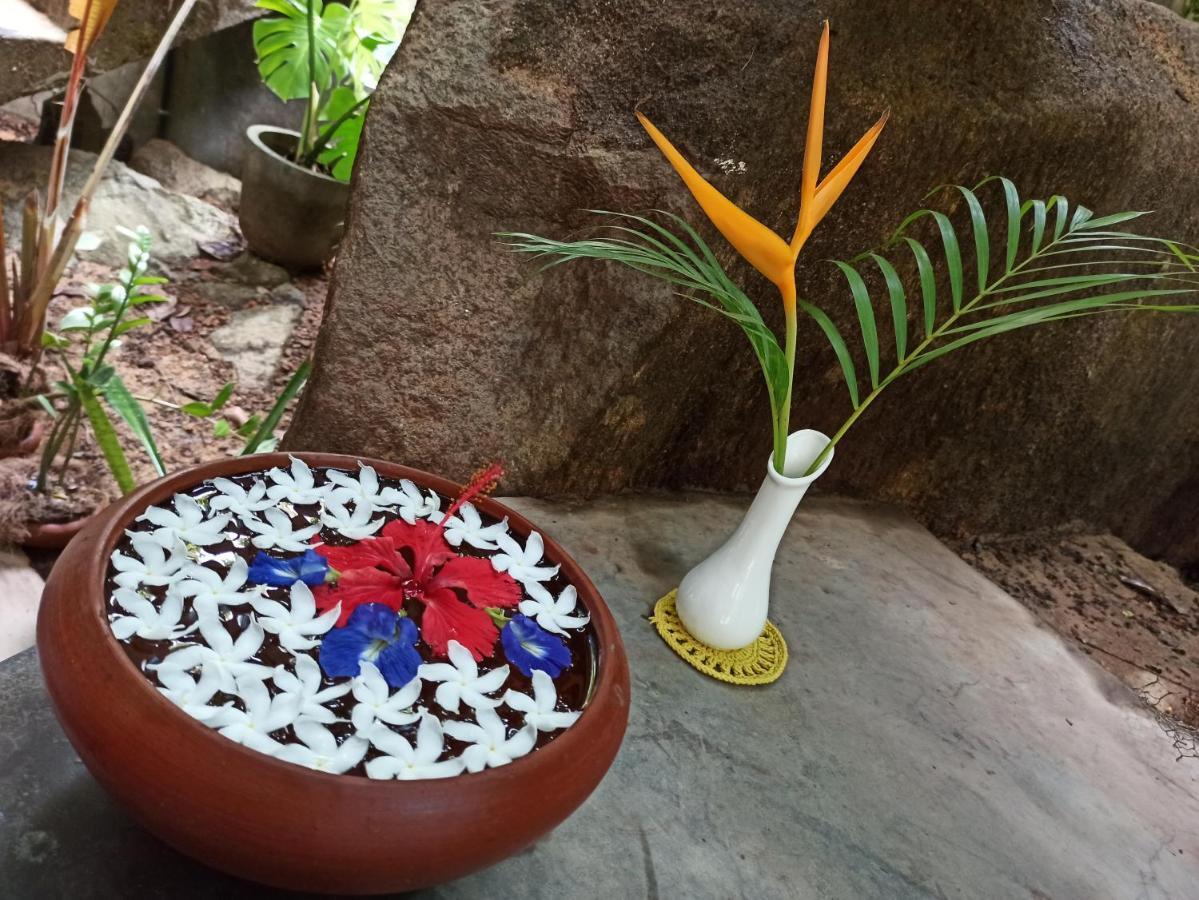 Butterfly Jewel Bed & Breakfast อูนาวาตูนา ภายนอก รูปภาพ